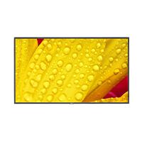 Esta es la imagen de monitor profesional nec de 43 m431-2 uhd 3840 x 2160 24/7
