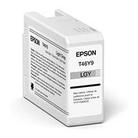 Esta es la imagen de cartucho epson modelo t46y gris light