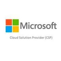 Esta es la imagen de microsoft csp word ltsc 2024 - commercial - perpetua