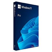 Esta es la imagen de microsoft oem kit de legalizacion ggk windows 11 profesional 64 bits español lat 1pk dsp dvd