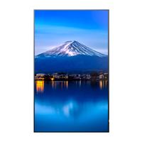 Esta es la imagen de monitor profesional sharp 55